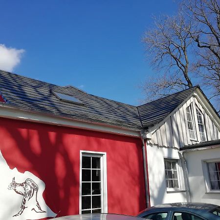 Kleines Studio Im Eichenwaeldchen, 1 Zimmer Kueche Bad Friedrichsgrun Exterior foto