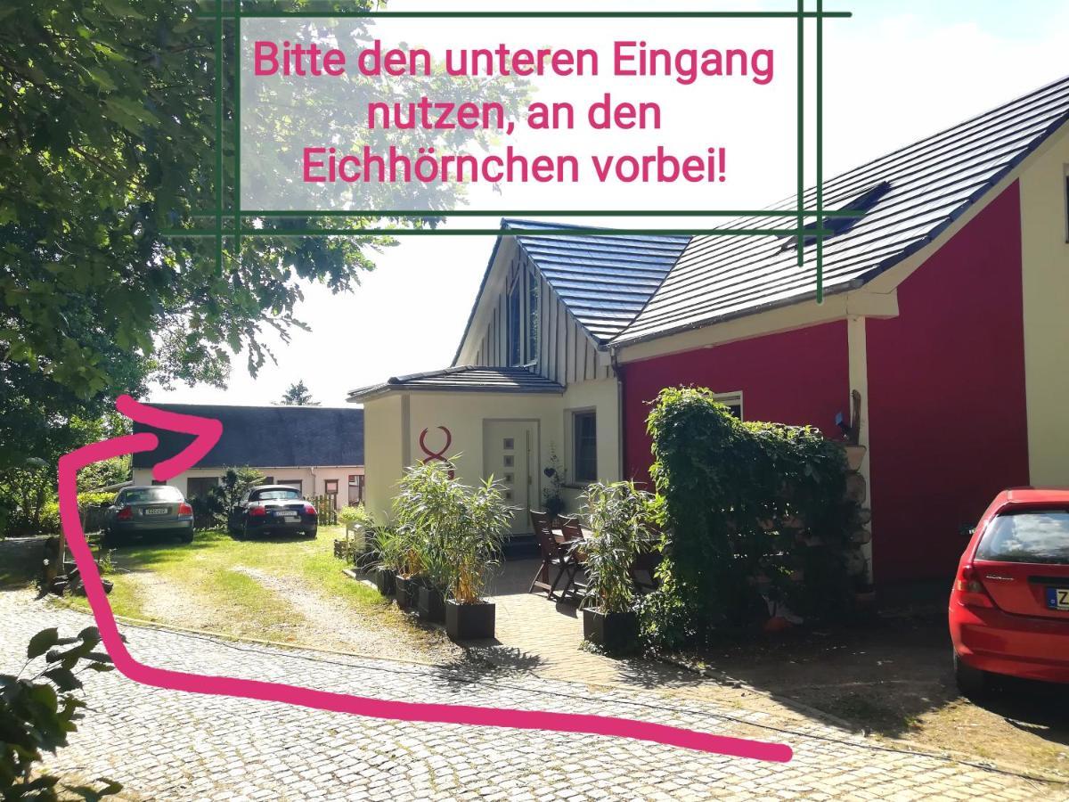 Kleines Studio Im Eichenwaeldchen, 1 Zimmer Kueche Bad Friedrichsgrun Exterior foto